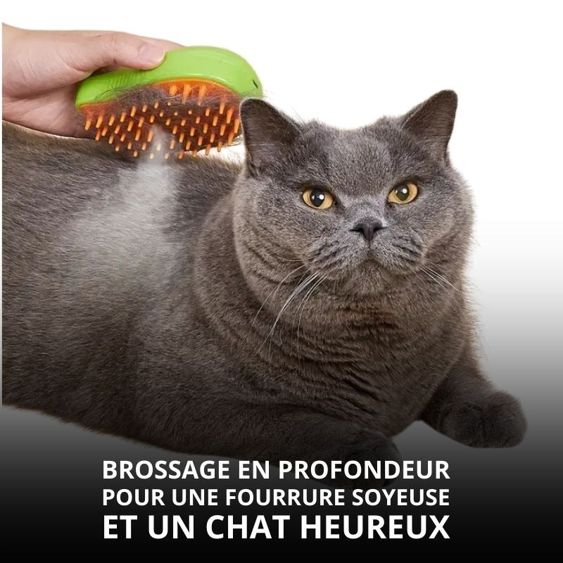 STEAMGROOM™ | BROSSE À VAPEUR POUR CHAT