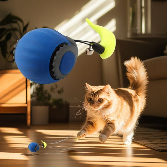 CHASPHÈRE™ | BALLE INTELLIGENTE POUR CHAT