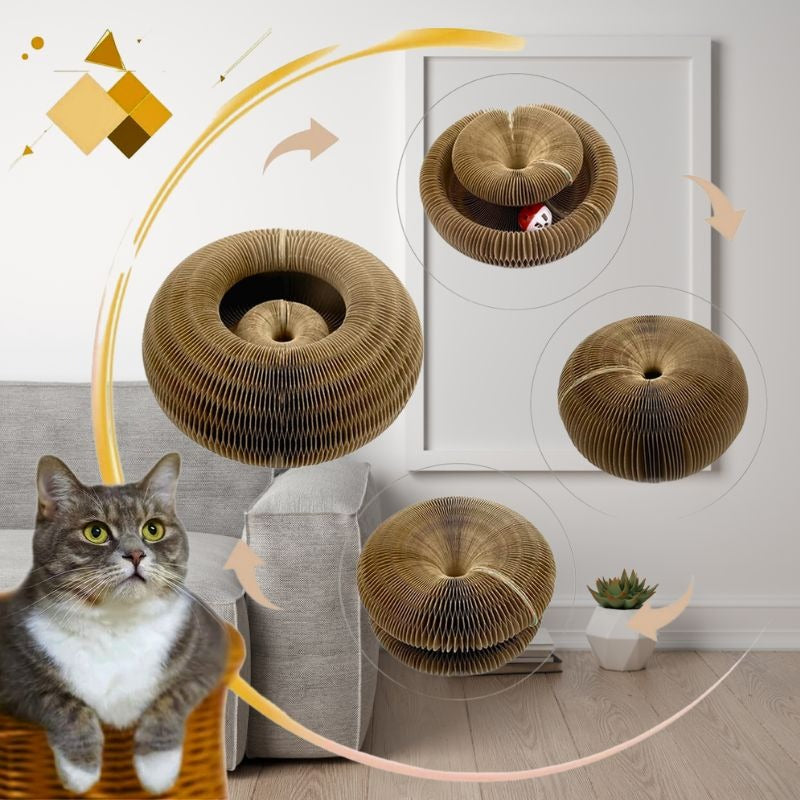 GRIFFOMORPH™ | GRIFFOIR MAGIQUE MODULABLE POUR CHAT