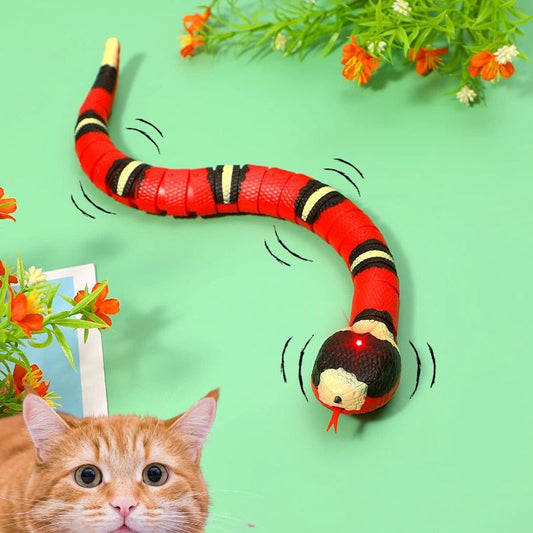 SNAKYPET™ | JOUET SERPENT POUR CHAT