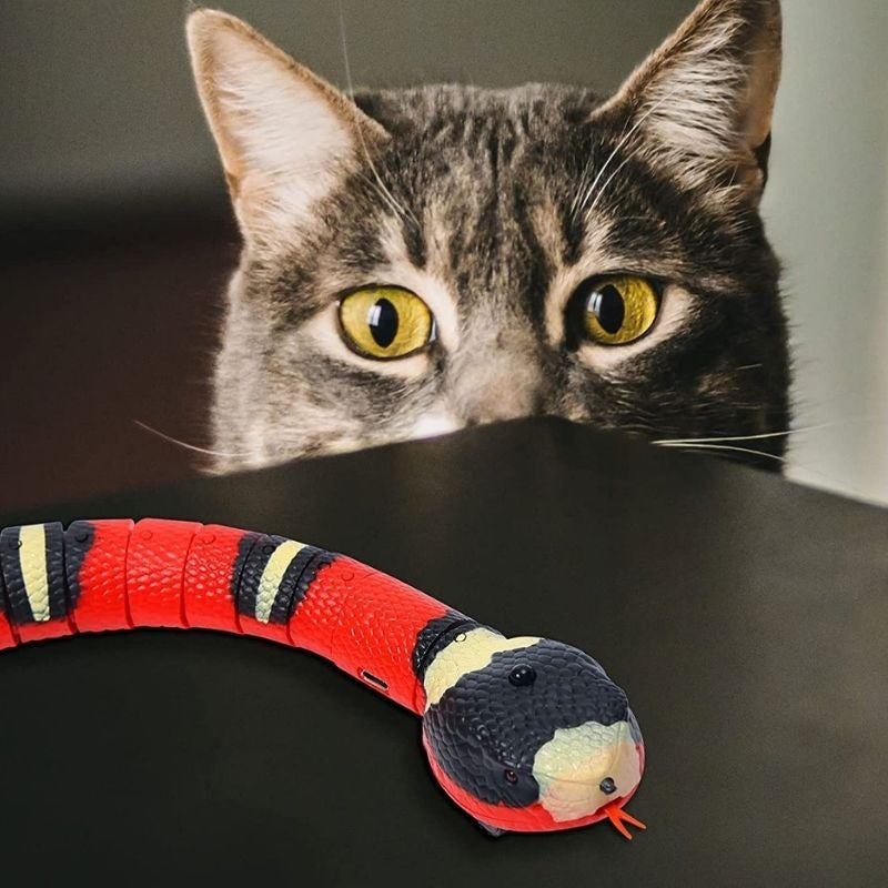 SNAKYPET™ | JOUET SERPENT POUR CHAT