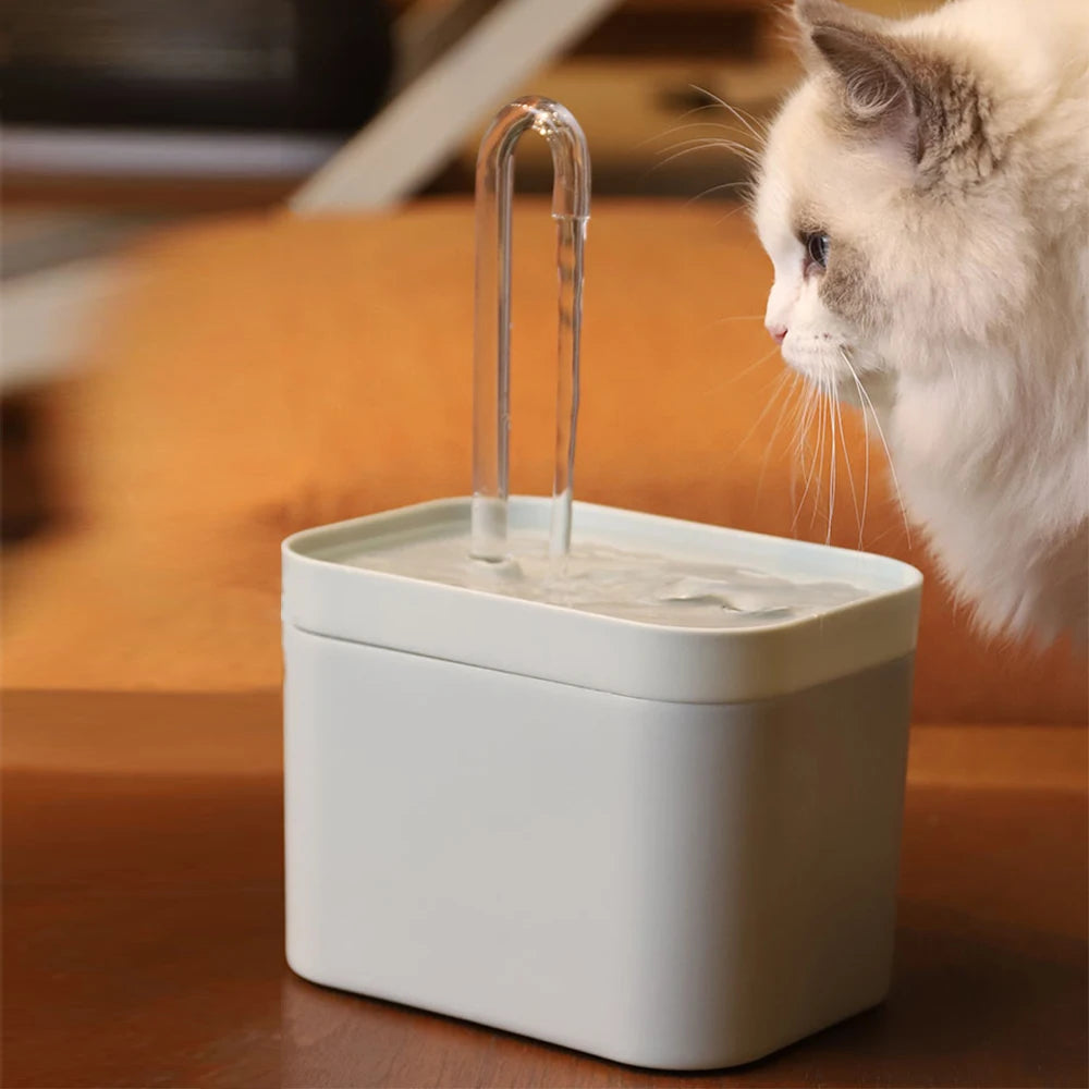 AQUAPAWS™ | FONTAINE À EAU POUR CHAT