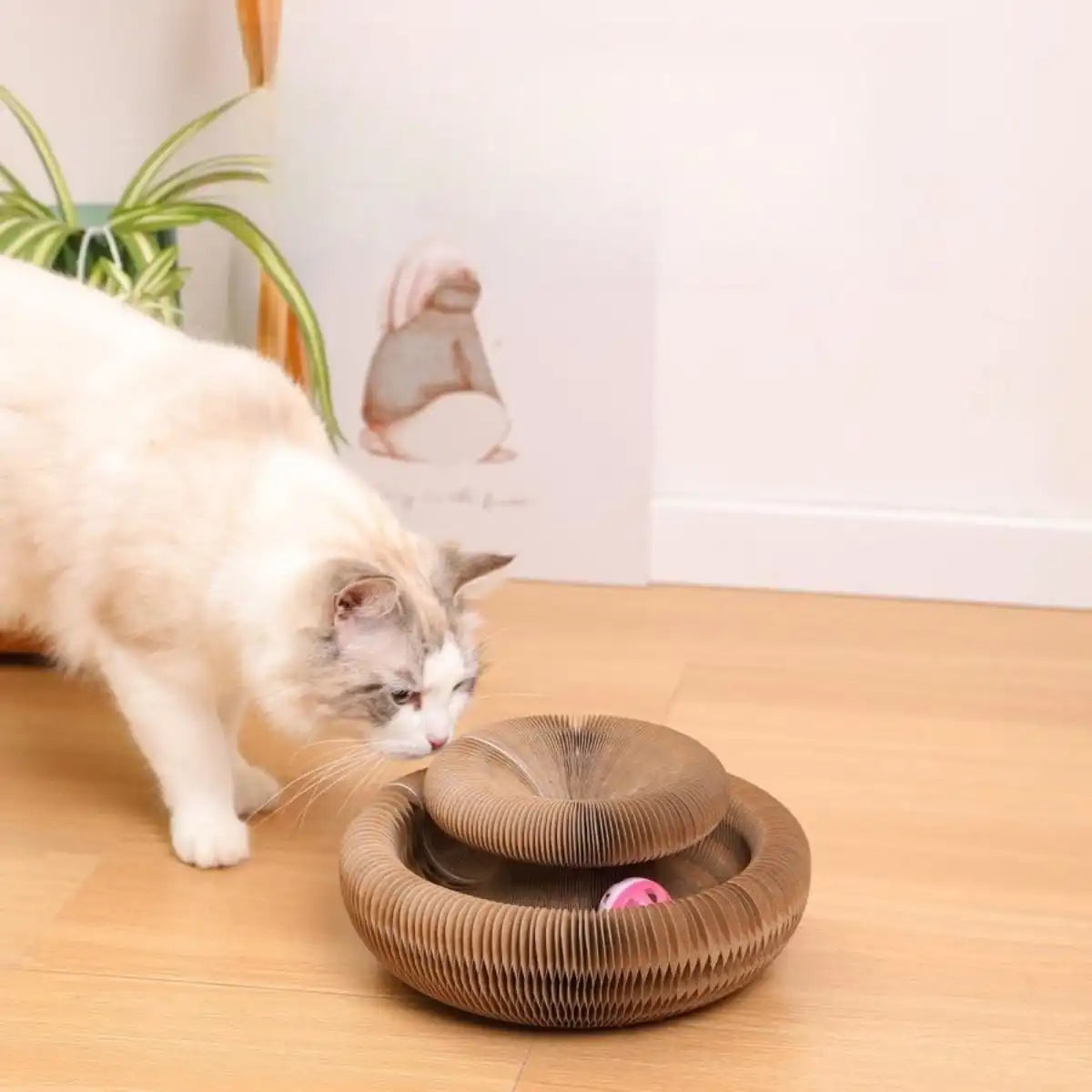 GRIFFOMORPH™ | GRIFFOIR MAGIQUE MODULABLE POUR CHAT