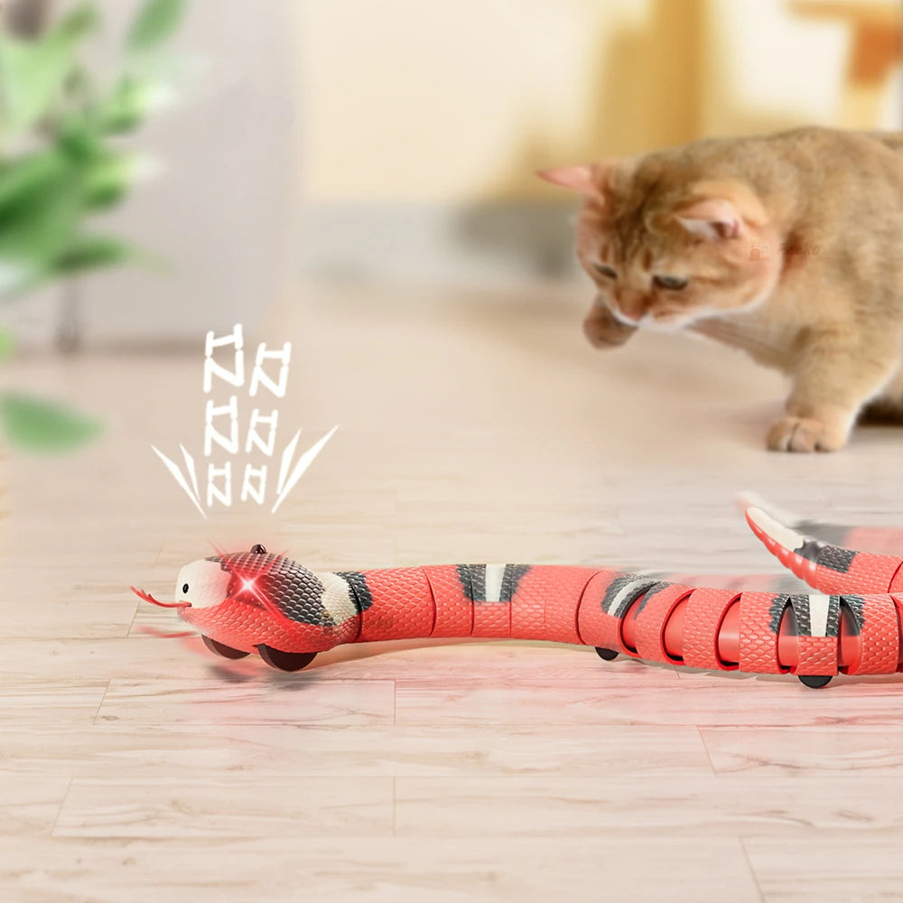 SNAKYPET™ | JOUET SERPENT POUR CHAT