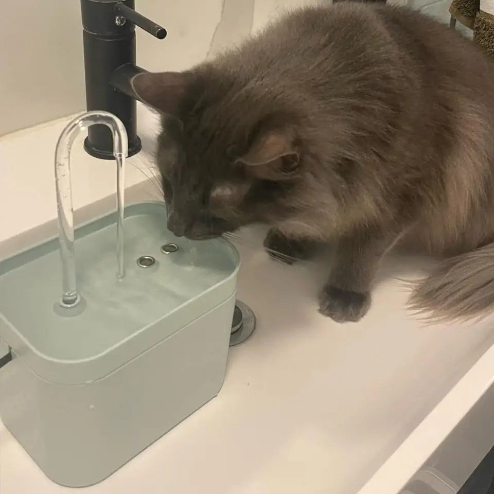 AQUAPAWS™ | FONTAINE À EAU POUR CHAT