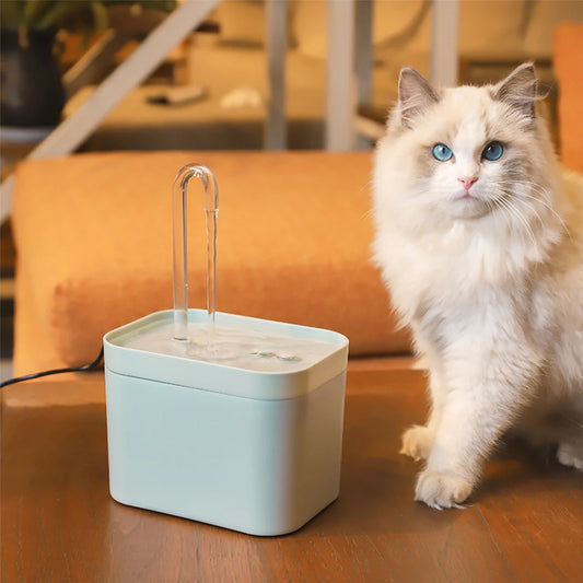 AQUAPAWS™ | FONTAINE À EAU POUR CHAT