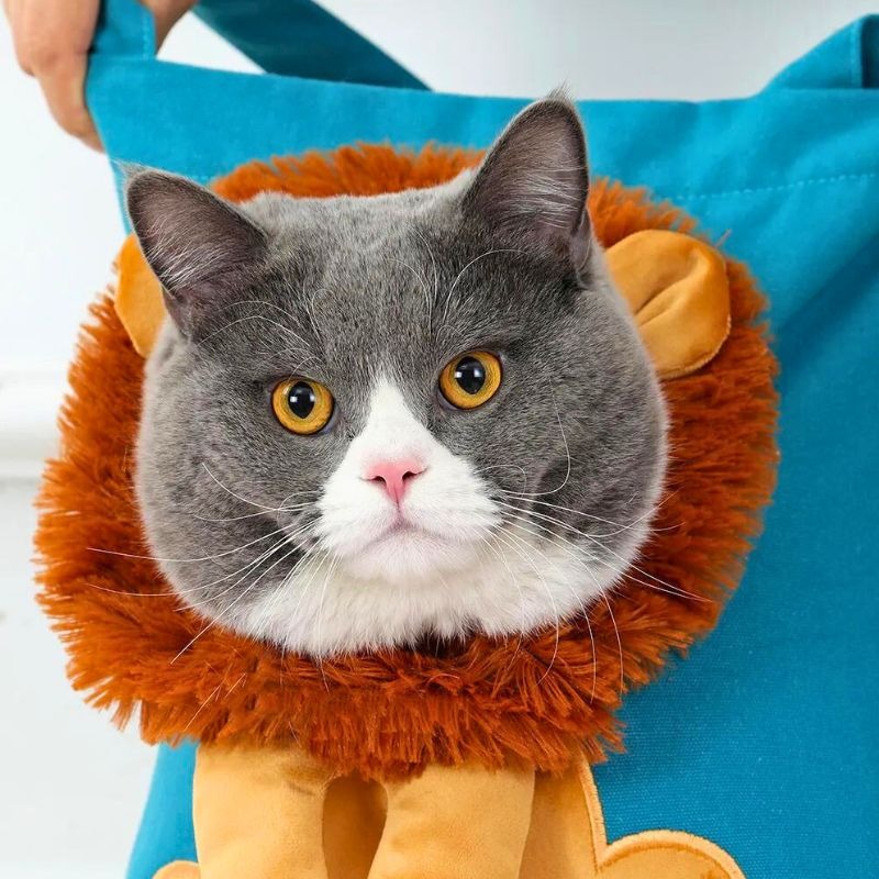 LUXYPET™ | SAC DE TRANSPORT POUR CHAT