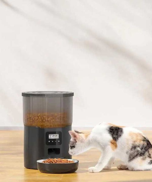 FEEDSMART™ | DISTRIBUTEUR INTELLIGENT DE NOURRITURE POUR CHATS